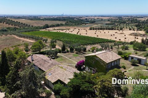 Landejendom i Capalbio, Grosseto, Capalbio - € 2.000.000 | Ref: v-0095 - foto 3