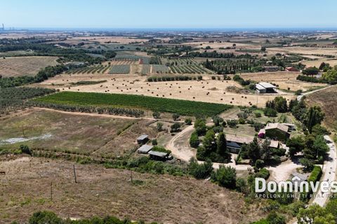 Landejendom i Capalbio, Grosseto, Capalbio - € 2.000.000 | Ref: v-0095 - foto 7