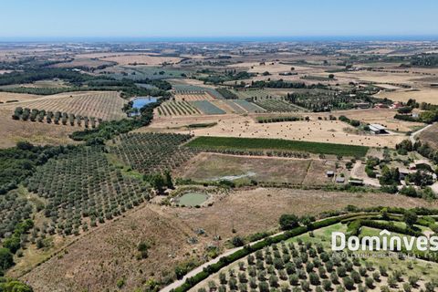 Landejendom i Capalbio, Grosseto, Capalbio - € 2.000.000 | Ref: v-0095 - foto 8