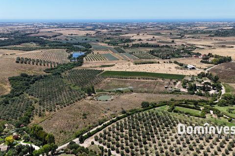 Landejendom i Capalbio, Grosseto, Capalbio - € 2.000.000 | Ref: v-0095 - foto 9