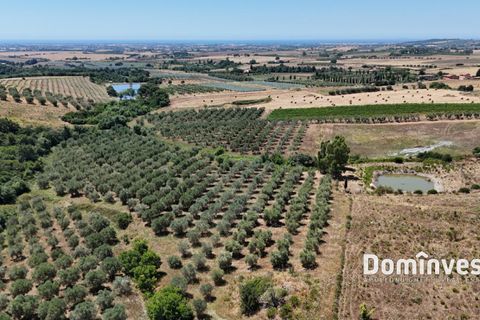 Landejendom i Capalbio, Grosseto, Capalbio - € 2.000.000 | Ref: v-0095 - foto 10