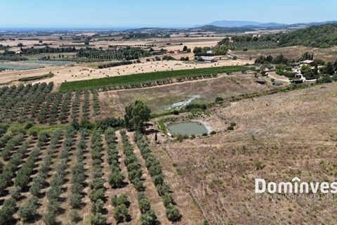 Landejendom i Capalbio, Grosseto, Capalbio - € 2.000.000 | Ref: v-0095 - foto 11