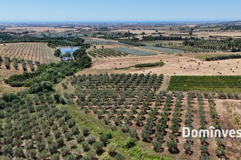 Landejendom i Capalbio, Grosseto, Capalbio - € 2.000.000 | Ref: v-0095 - foto 12