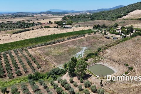 Landejendom i Capalbio, Grosseto, Capalbio - € 2.000.000 | Ref: v-0095 - foto 13