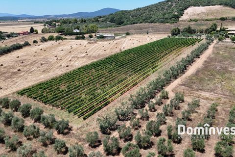 Landejendom i Capalbio, Grosseto, Capalbio - € 2.000.000 | Ref: v-0095 - foto 14