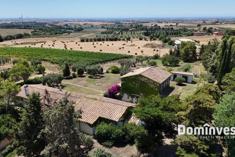 Landejendom i Capalbio, Grosseto, Capalbio - € 2.000.000 | Ref: v-0095 - foto 16