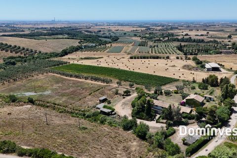 Landejendom i Capalbio, Grosseto, Capalbio - € 2.000.000 | Ref: v-0095 - foto 17