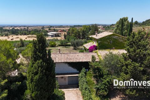 Landejendom i Capalbio, Grosseto, Capalbio - € 2.000.000 | Ref: v-0095 - foto 19