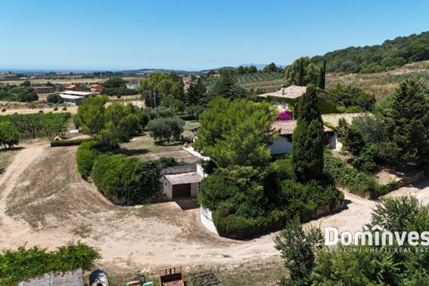 Landejendom i Capalbio, Grosseto, Capalbio - € 2.000.000 | Ref: v-0095 - foto 20