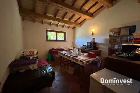 Landejendom i Capalbio, Grosseto, Capalbio - € 2.000.000 | Ref: v-0095 - foto 25