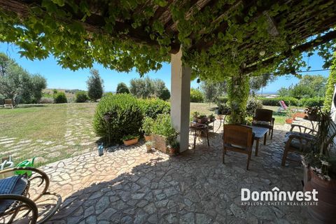Landejendom i Capalbio, Grosseto, Capalbio - € 2.000.000 | Ref: v-0095 - foto 31