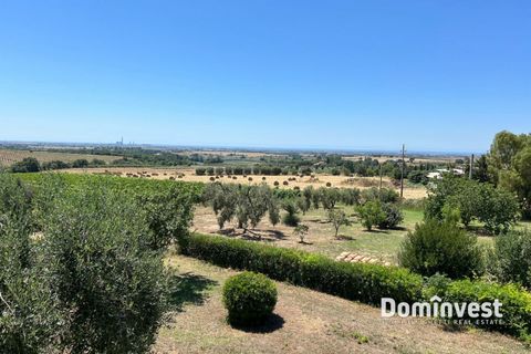 Landejendom i Capalbio, Grosseto, Capalbio - € 2.000.000 | Ref: v-0095 - foto 32