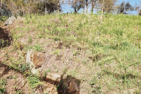 Helårsgrund i Fafe, Braga, Fafe - € 35.000 | Ref: 2021001-093 - foto 7