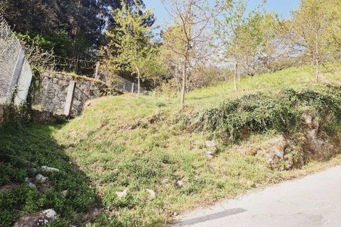 Helårsgrund i Fafe, Braga, Fafe - € 35.000 | Ref: 2021001-093 - foto 6