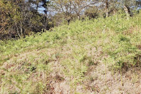 Helårsgrund i Fafe, Braga, Fafe - € 35.000 | Ref: 2021001-093 - foto 5
