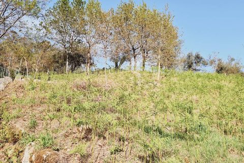 Helårsgrund i Fafe, Braga, Fafe - € 35.000 | Ref: 2021001-093 - foto 2