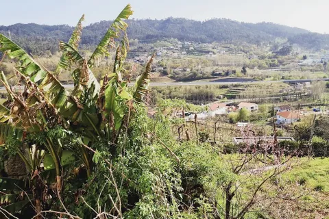 Villa i Fafe, Braga, Fafe - € 35.000 | Ref: 2021001-095 - foto 6