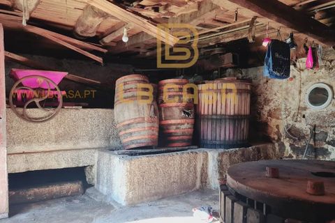 Villa a Fafe, Braga, Fafe - € 220.000 | Ref: 2021003-001 - foto 6