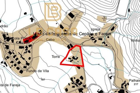 Villa a Fafe, Braga, Fafe - € 220.000 | Ref: 2021003-001 - foto 17