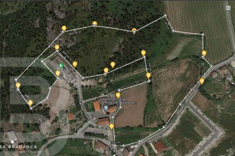 Farm i Guimaraes, Braga, Guimaraes - € 480.000 | Ref: 2121002-5 - foto 13