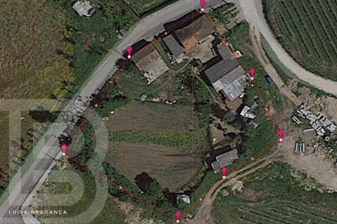 Farm i Guimaraes, Braga, Guimaraes - € 480.000 | Ref: 2121002-5 - foto 5