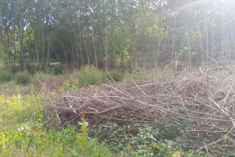 Landejendom i Fafe, Braga, Fafe - € 75.000 | Ref: 2021003-005 - foto 12