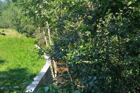 Landejendom i Fafe, Braga, Fafe - € 75.000 | Ref: 2021003-005 - foto 2