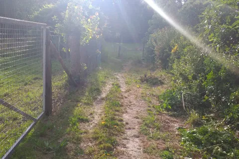 Landejendom i Fafe, Braga, Fafe - € 75.000 | Ref: 2021003-005 - foto 10