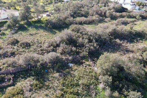 Farm hus i Albufeira, Faro, Albufeira - € 199.000 | Ref: C0369-00606 - foto 6