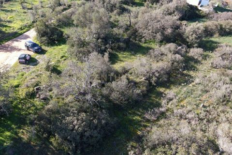 Farm hus i Albufeira, Faro, Albufeira - € 199.000 | Ref: C0369-00606 - foto 13