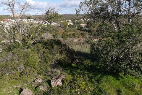 Farm hus i Albufeira, Faro, Albufeira - € 199.000 | Ref: C0369-00606 - foto 14