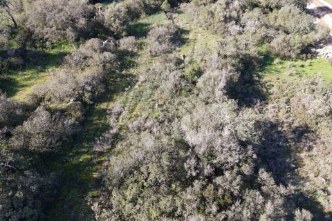 Farm hus i Albufeira, Faro, Albufeira - € 199.000 | Ref: C0369-00606 - foto 19