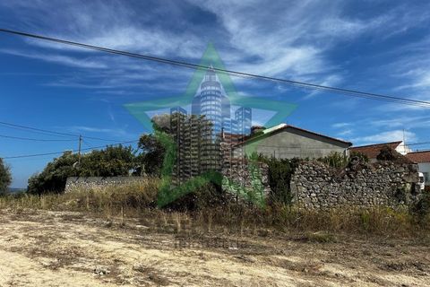 Terra a Assentiz, Santarem, Assentiz - € 295.000 | Ref: STAR_188 - foto 2
