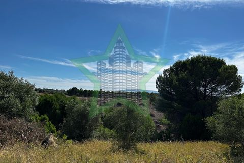 Terra a Assentiz, Santarem, Assentiz - € 295.000 | Ref: STAR_188 - foto 3