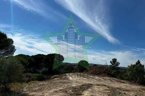 Terra a Assentiz, Santarem, Assentiz - € 295.000 | Ref: STAR_188 - foto 4