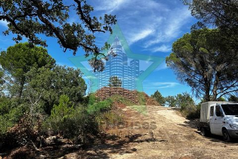 Terra a Assentiz, Santarem, Assentiz - € 295.000 | Ref: STAR_188 - foto 8