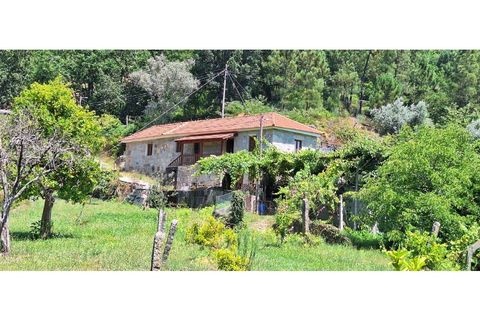 Gård i Arouca, Aveiro, Arouca - € 200 000 | Ref: 821/Qt - foto 2