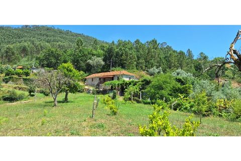 Gård i Arouca, Aveiro, Arouca - € 200 000 | Ref: 821/Qt - foto 3