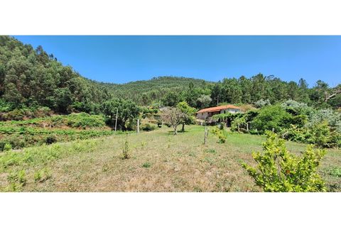 Gård i Arouca, Aveiro, Arouca - € 200 000 | Ref: 821/Qt - foto 4