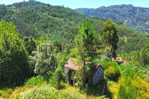 Gård i Amarante, Porto, Amarante - € 100 000 | Ref: 00656FR - foto 31