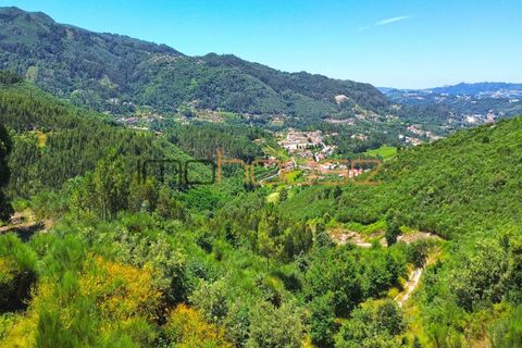 Gård i Amarante, Porto, Amarante - € 100 000 | Ref: 00656FR - foto 3