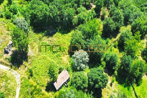 Gård i Amarante, Porto, Amarante - € 100 000 | Ref: 00656FR - foto 34