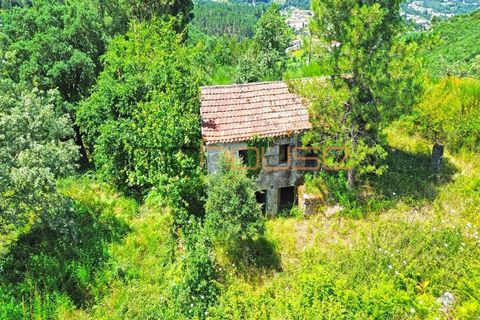 Gård i Amarante, Porto, Amarante - € 100 000 | Ref: 00656FR - foto 33