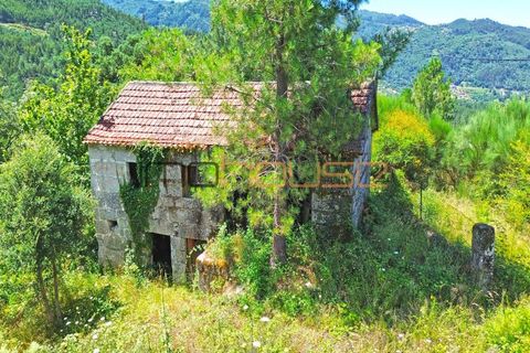 Gård i Amarante, Porto, Amarante - € 100 000 | Ref: 00656FR - foto 32