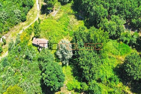 Gård i Amarante, Porto, Amarante - € 100 000 | Ref: 00656FR - foto 36