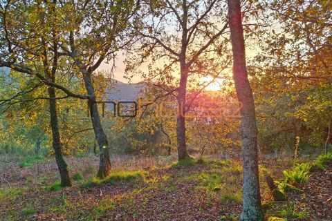 Gård i Amarante, Porto, Amarante - € 100 000 | Ref: 00656FR - foto 4