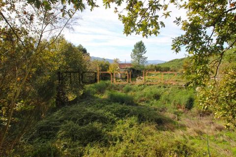 Gård i Amarante, Porto, Amarante - € 100 000 | Ref: 00656FR - foto 2