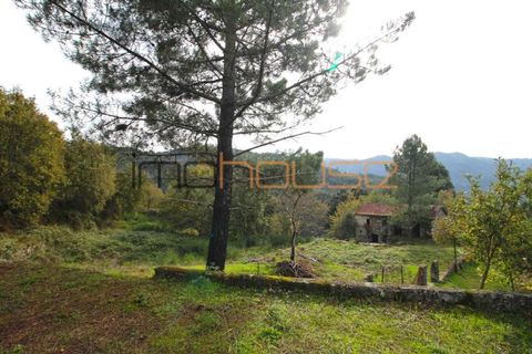 Gård i Amarante, Porto, Amarante - € 100 000 | Ref: 00656FR - foto 5