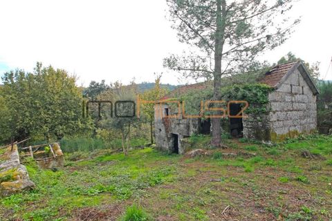 Gård i Amarante, Porto, Amarante - € 100 000 | Ref: 00656FR - foto 6