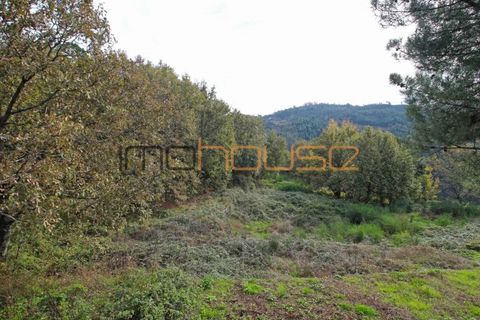 Gård i Amarante, Porto, Amarante - € 100 000 | Ref: 00656FR - foto 15
